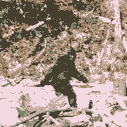 sasquatch